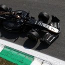 디엔엘고 이미지