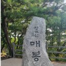 [토요산행 11월 9일 토요일] 청계산 이미지