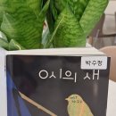 0시의밤