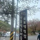 산꽃벚꽃오토캠핑장 이미지