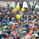 2024 대청호 벚꽃길 마라톤 대회 이미지