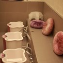 자애한의원 이미지