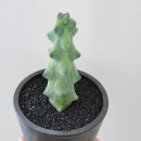 용비농장 이미지