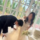 가성비 헤어변형 프리지안 추천 후기