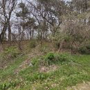 관암1리 마을회관 이미지