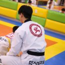 학사태권도 이미지