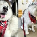 산책동물병원 이미지