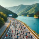 춘천 송암스포츠타운 종합경기장 | 춘천 호반 마라톤 2025, 언제 열리나? 접수일·코스 총정리