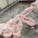 진미유통 이미지