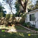 써니하우스 민박 이미지