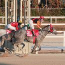 우승목장 이미지