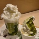 카페Macha | [오사카 말차 하우스 Macha house] 말차 러버들 모여라