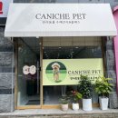 카니쉬펫 이미지