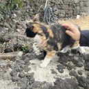 말랑말랑 이미지