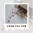 산과보롬 | 달콤쌉싸름 단짠조합 끝판왕! 산과보롬 카카오 카라멜 추천 및 후기