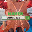 강릉데이트 사천진 은성호 배낚시 체험 생생후기