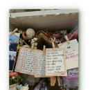 오포안로 | 반려동물 장례식장에서 중요한 것, 펫포레스트 후기