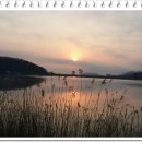 감자바우민박 이미지