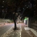 좌동산책길 이미지