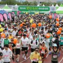 보성체육공원운동장 이미지