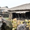 성읍정의현로 이미지