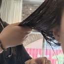 성수미용실 준오헤어 성수역점 카필루스 모발케어 후기