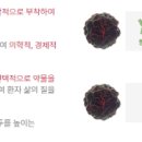 제이에스인베스트먼트 이미지