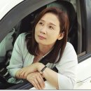 드림팰리스주