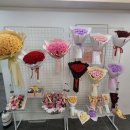 프리맨하우스 이미지