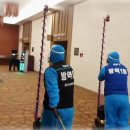 보눔172 이미지