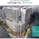 파비오더리미티드 - 10033 | 파비오더리미티드