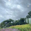 GS25목포북항점 이미지