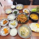 정아애견 이미지