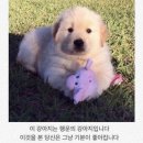 기분이 좋아 이미지