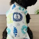 양지동물병원 이미지