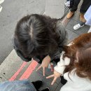 520모텔 | [대만 3박 4일] 3일차 후기 (라뜰리에루터스 오픈런, 천진총좌빙, 마라훠거 신이점, 중정기념당 교대식...