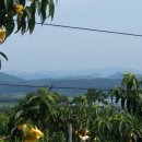 정자리농장 이미지