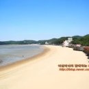 미스터와이민박