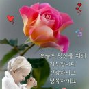 행복의료기 이미지