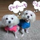 까비