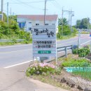 별의정원 | 제주 성산 갈치조림 맛집 별내리는정원 솔직 후기