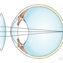 새로봄안경 이미지