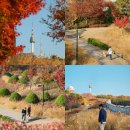 남산공원(관리사무소 옆) | 가을 단풍 명소 서울 남산공원 백범광장 남산 성곽길 산책로
