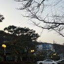 일환네백숙 | 용인 지곡동 연예인들도 찾는 닭백숙 맛집 물레방아