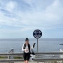 나리관광펜션 | 울릉도 숙소 어디? 바다 바로 앞 울릉아일랜드펜션 추천