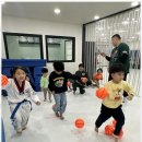 대한태권도장 이미지