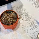 [원데이특강]온기를 전하는 캔들 | 티 블렌딩 | 향기로운 차 한 잔의 여유 익선 공방 종로 이색 클래스