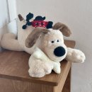 레브(REVE) 이미지