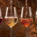 테이스팅독 이미지