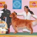 에코 켄넬 이미지